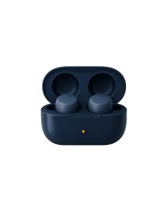 Smart Earbuds