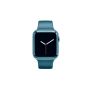 Sleek Watch