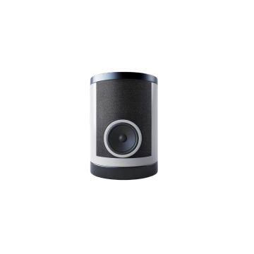 Bass Speaker