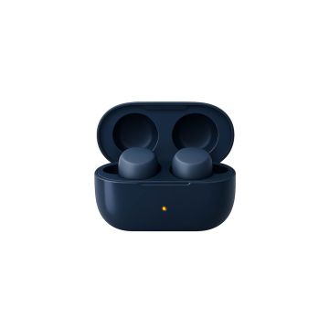 Smart Earbuds