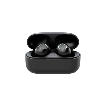 Sleek Earbuds